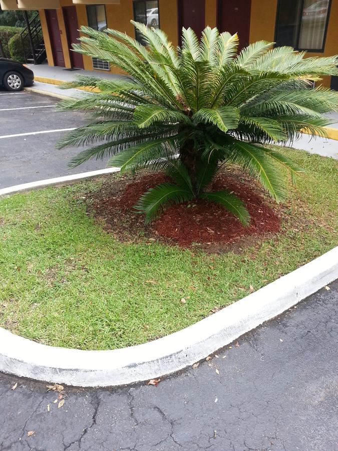 Howard Johnson By Wyndham Tallahassee Luaran gambar